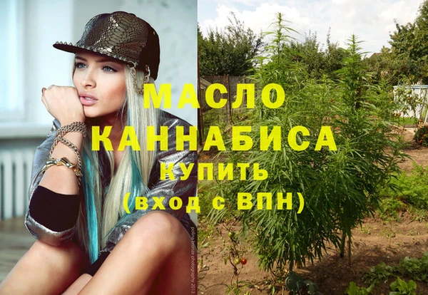 стаф Новокубанск