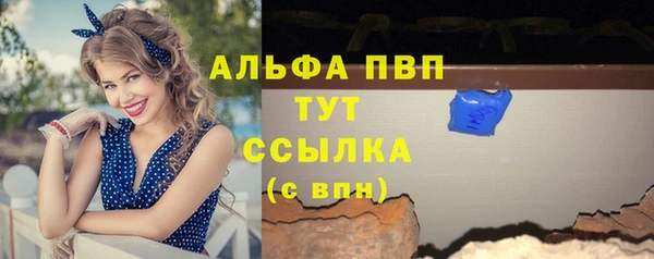 дживик Новозыбков
