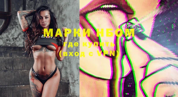дживик Новозыбков
