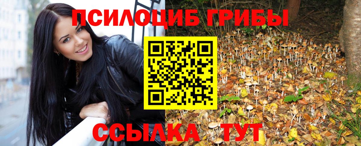 Москва  Галлюциногенные грибы MAGIC MUSHROOMS  Вход с VPN  Галлюциногенные грибы прущие грибы 