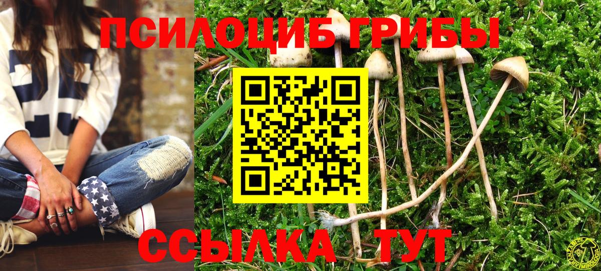 Галлюциногенные грибы Magic Shrooms Москва